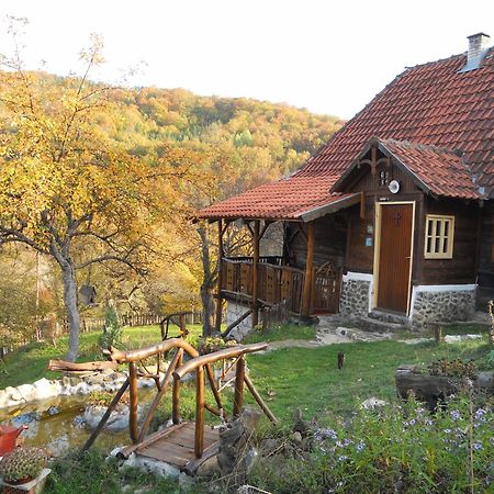 Apartment Cerova Kosa Mokra Gora Exterior foto